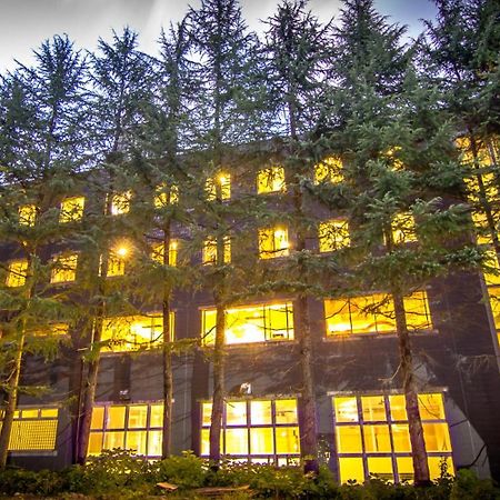 Hakuba Eagle Lodge Zewnętrze zdjęcie